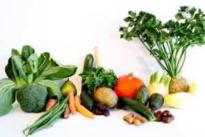 prepare a canine diet that includes Vegetables-1-1