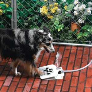 10 Ingenious Things For Your Dog -8