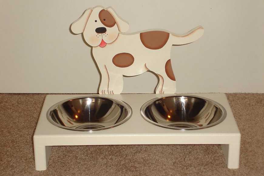 Choose the Best Dog Bowl-5