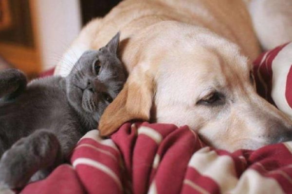 21077669_1062645747172074_7853510584361481979_n