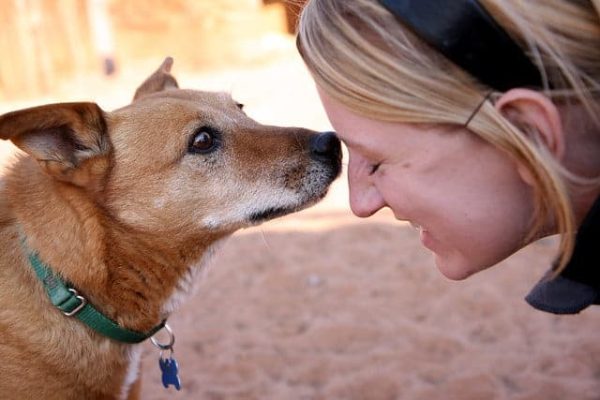 2909058158_e5a1fc82d4_z