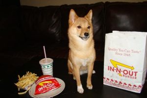 4989396828_d3c5827cca_z