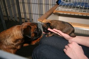 6831363455_a3b9810f06_z