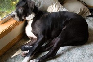 8256623138_7ef32ef8a5_z