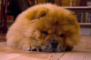 8308927402_89fd8f942c_z