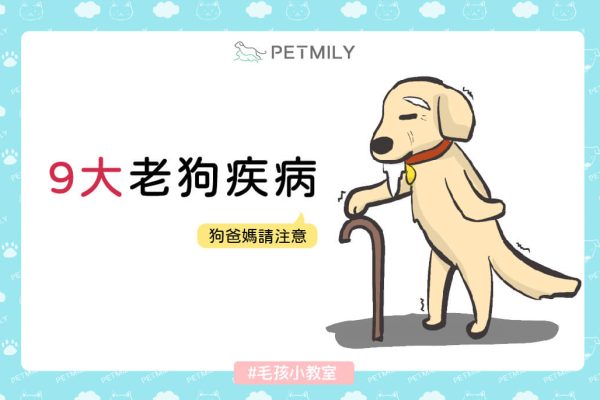 9大老狗疾病 狗爸媽請注意_封面