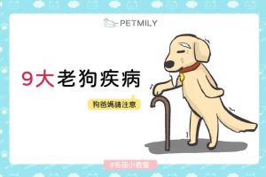 9大老狗疾病 狗爸媽請注意_封面