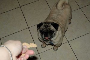 Determining-dietary-intake-1-3