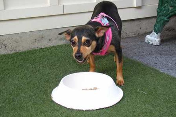 sodium-restriction-3