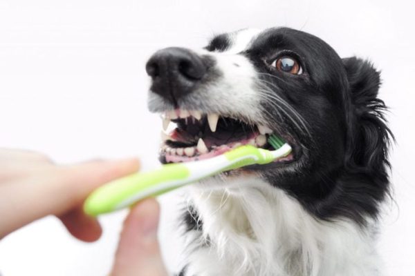 ThinkstockPhotos-155740539-1024x681
