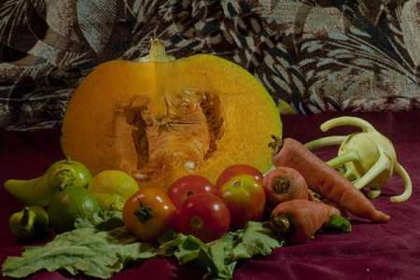antioxidant-cancer-2