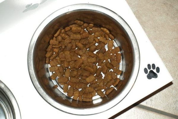 bowl-429231_1280