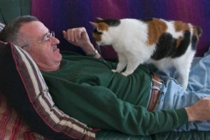 cat Knead-1