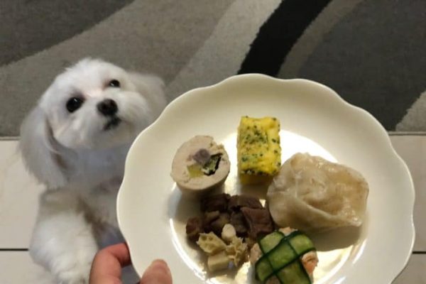 eat1-1