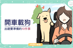 pet-blog-開車載狗 出遊要準備的１０件事西-202102_大圖