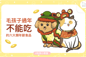 pet-fb-毛孩過年不能吃的東西-202102-01