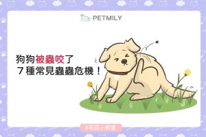 pet-狗狗被蟲咬 了，７種常見蟲蟲危機！_封面2