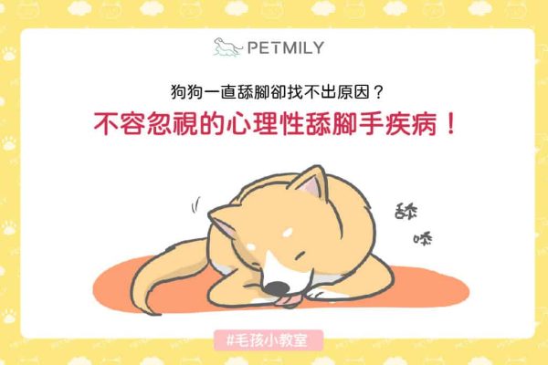 pwtmily-blog狗狗一直舔腳卻找不出原因？_封面