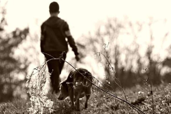 walk-1698449_960_720