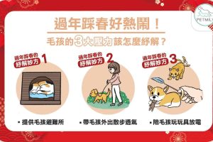 內容網站_工作區域 1
