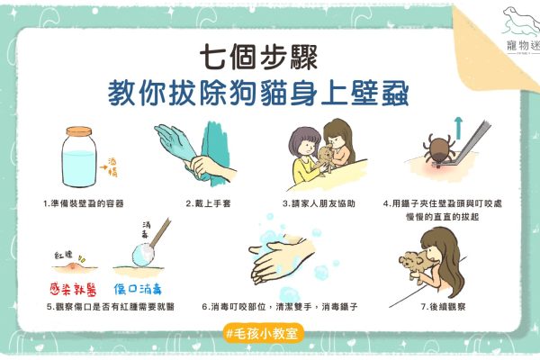 壁蝨-01