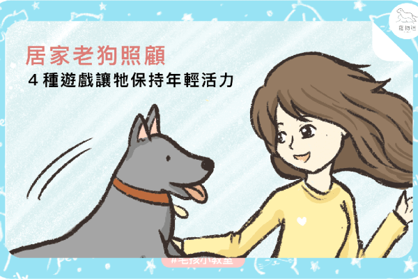 居家老狗照顧４種遊戲1
