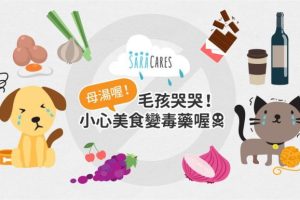 毛孩哭哭_這些美食是毒藥喔__封面