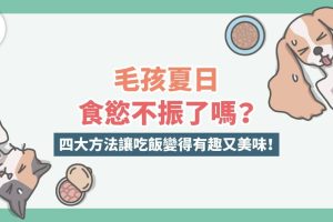 毛孩夏日食慾不振-1