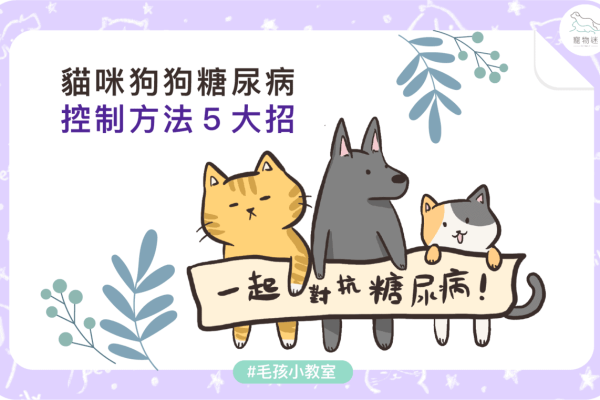 糖尿病1