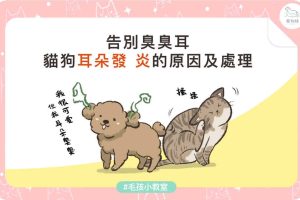 耳朵發炎-01
