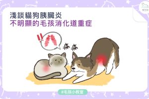 胰臟炎-02