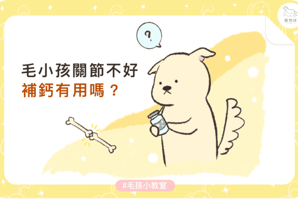 補鈣-02