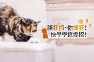 貓狂抓_你抓狂_快學學這幾招__封面