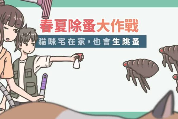 除蚤-1