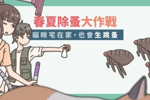 除蚤-1
