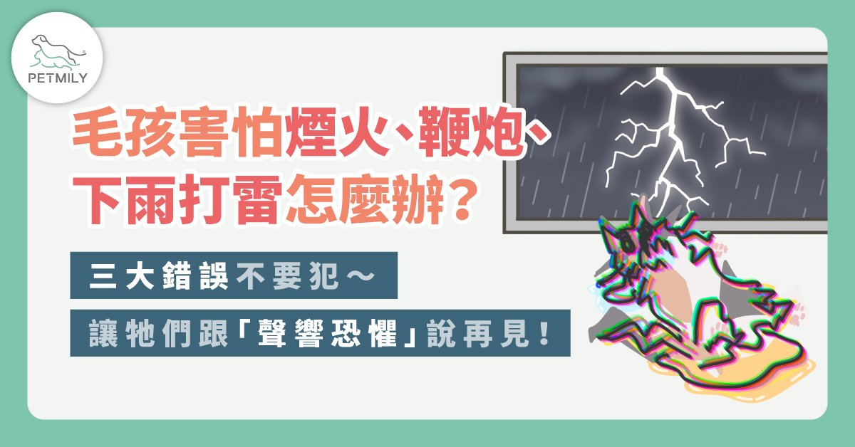 毛孩害怕煙火、鞭炮、下雨打雷怎麼辦？3大錯誤不要犯～讓牠們跟聲響恐懼說再見！