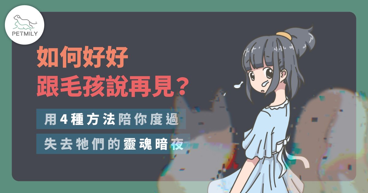 如何好好跟毛孩說再見？用4種方法陪你／妳度過失去牠們的靈魂暗夜